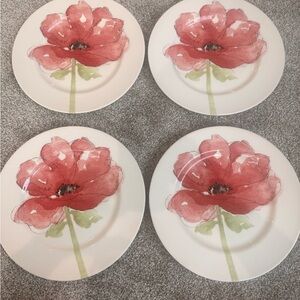 Royal Stafford Red Poppy Dinner Plates